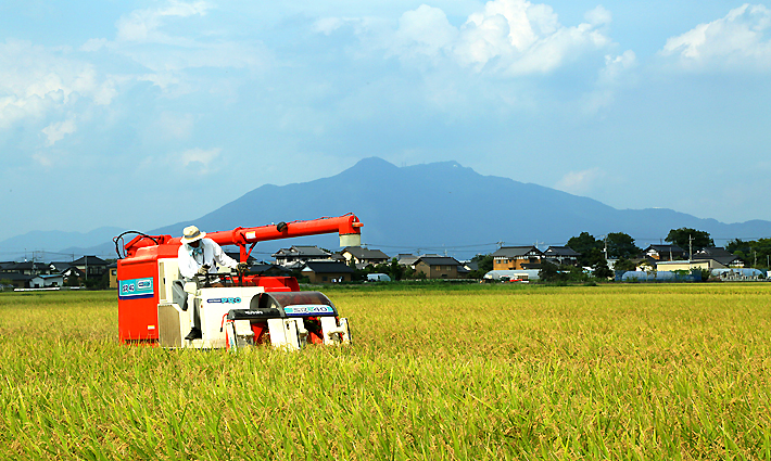 農家直送！茨城県産コシヒカリ 風のひかり | お米通販サイト農家直送お米販売店豊﨑屋