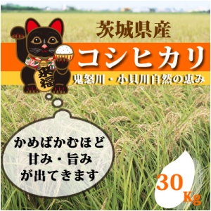 【送料無料】コシヒカリ　３０ｋｇ(5Kg×6袋）